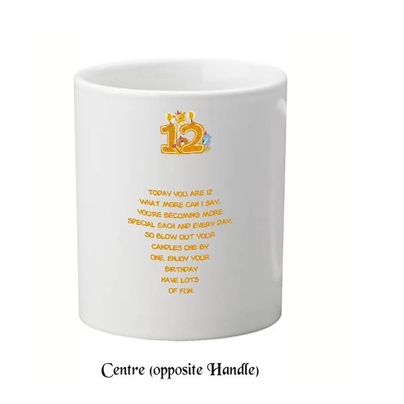 Personalised Birthday Mug Gift - Age 12 - Birthday Party with Photo