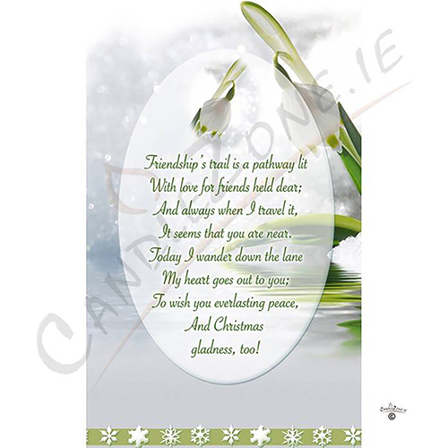 Personalised Christmas - Snow Drop
