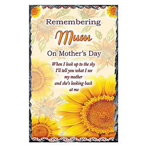 Personalised Mothers Day - Blue Valley of Water with Photo
