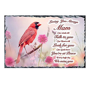 Personalised Mothers Day - Blue Valley of Water with Photo