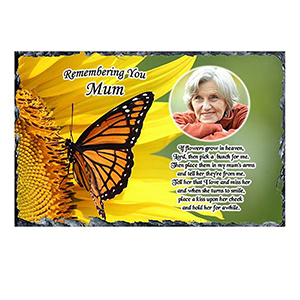Personalised Mothers Day - Blue Valley of Water with Photo