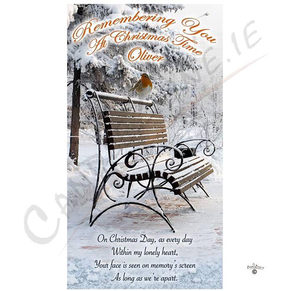 Personalised Christmas - Robin & Metal Bench