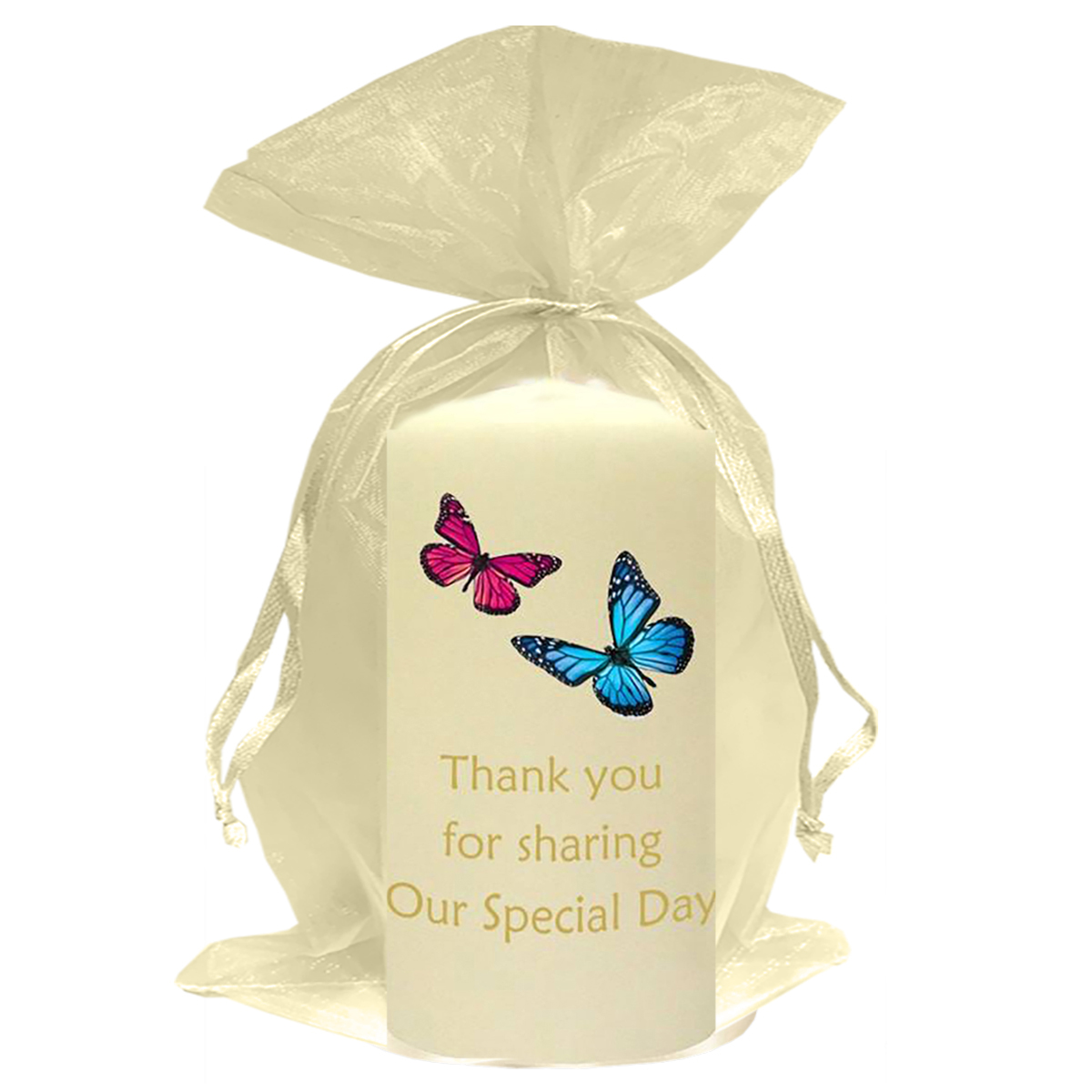 Personalised Thank you Wedding Favour - Pink & Blue Butterflies Gold Favour